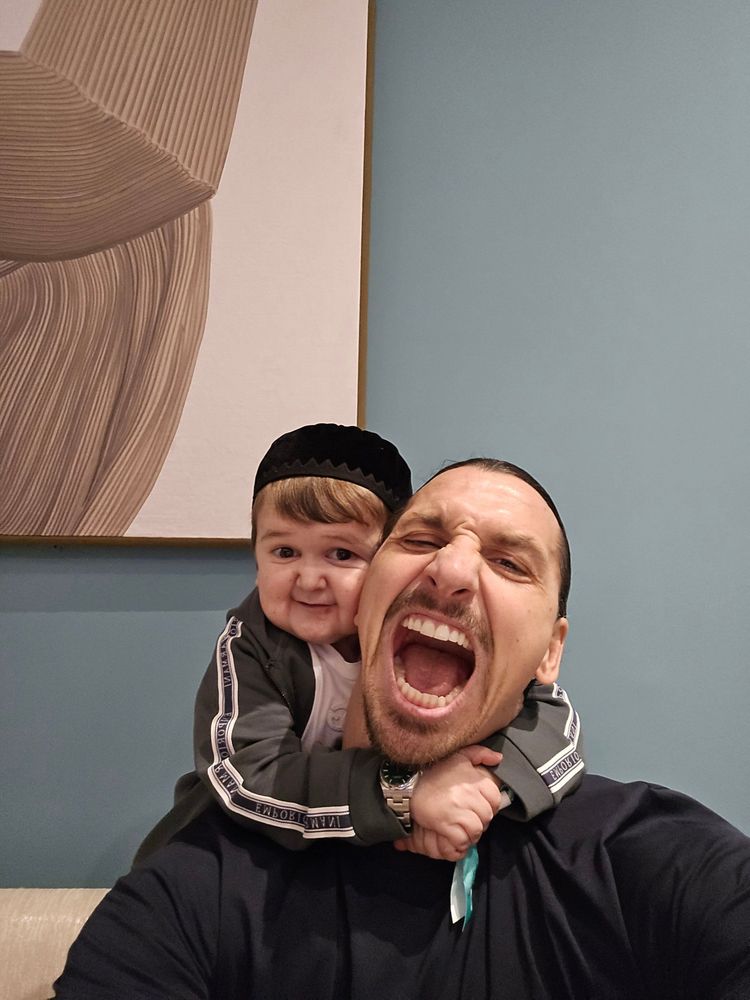 Mały Hasbulla kontra wielki Zlatan 😉